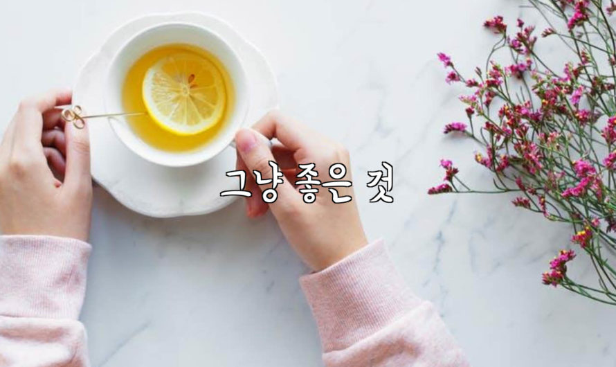 그냥 좋은 것