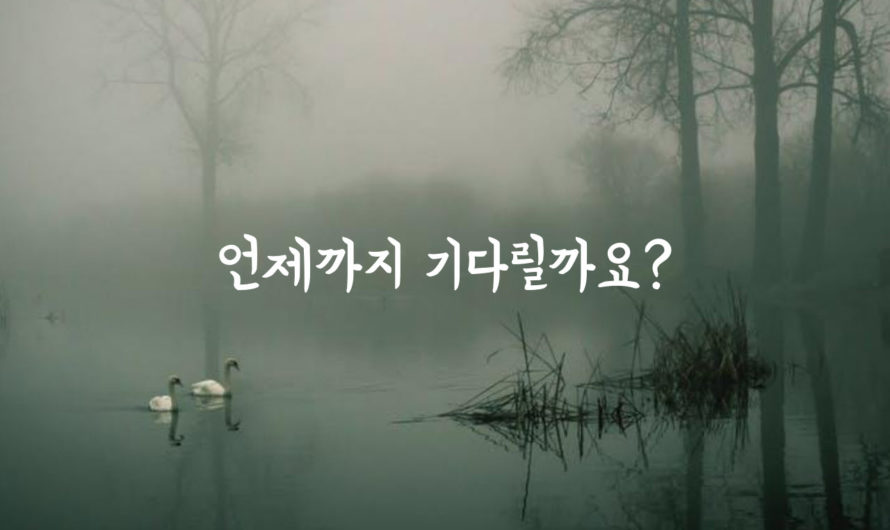 언제까지 기다릴까요?