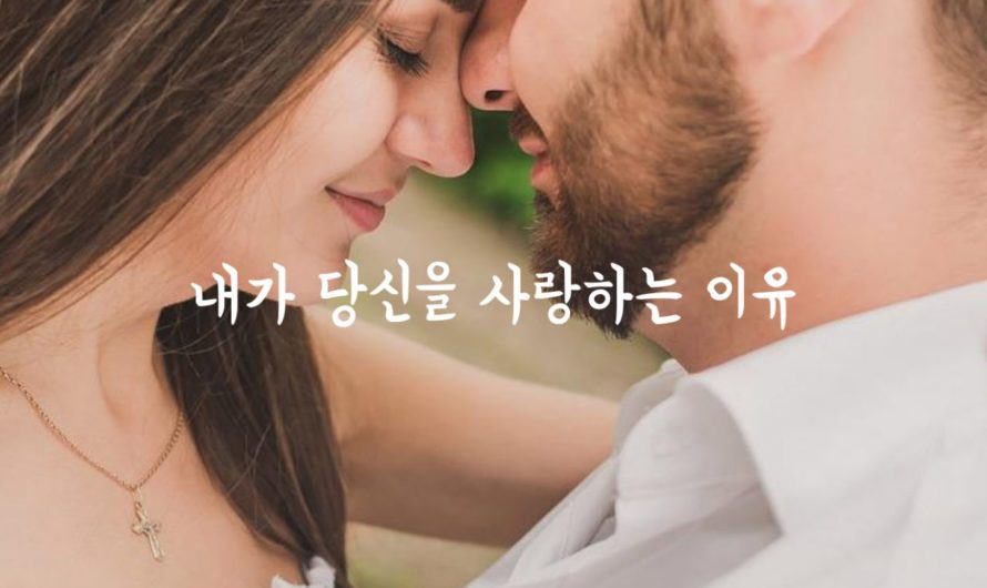 내가 당신을 사랑하는 이유