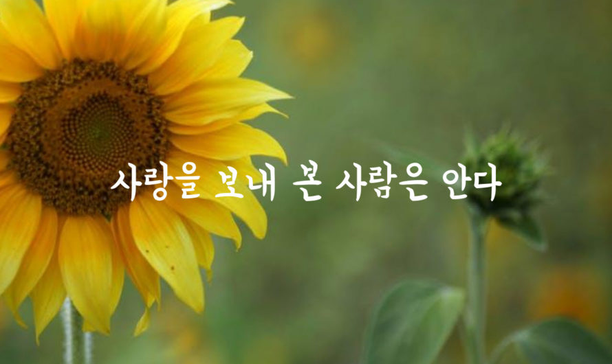 사랑을 보내 본 사람은 안다