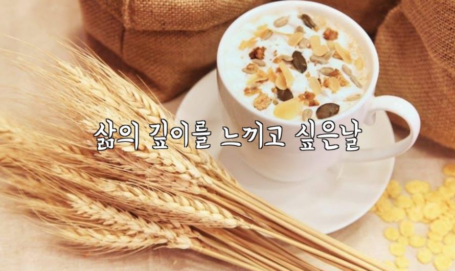 삶의 깊이를 느끼고 싶은날