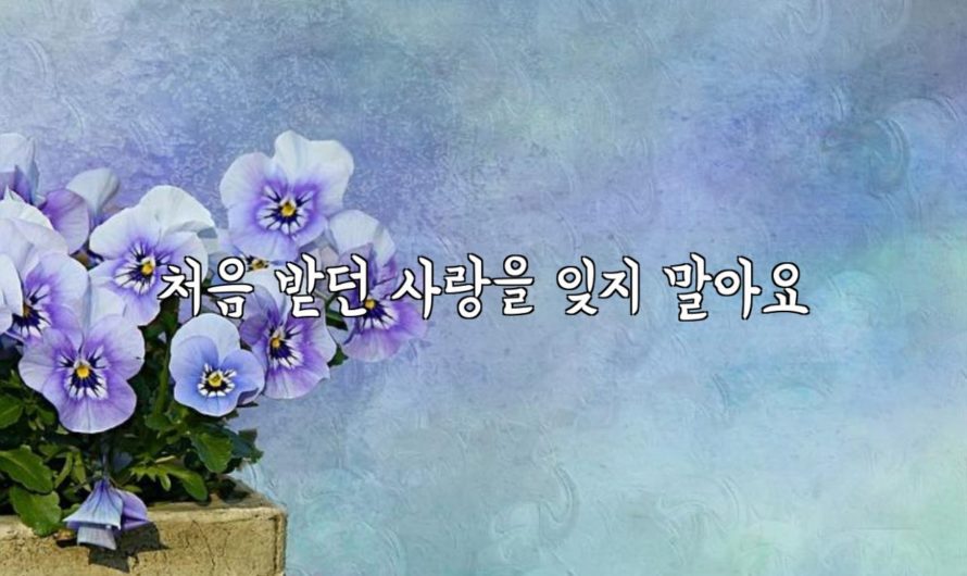 처음 받던 사랑을 잊지 말아요