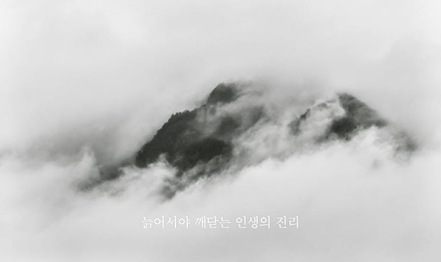 늙어서야 깨닫는 인생의 진리