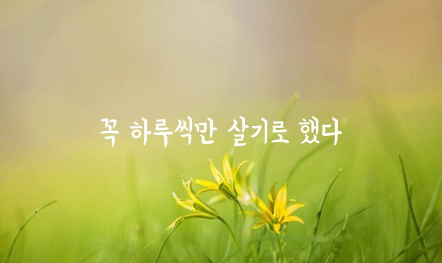 꼭 하루씩만 살기로 했다