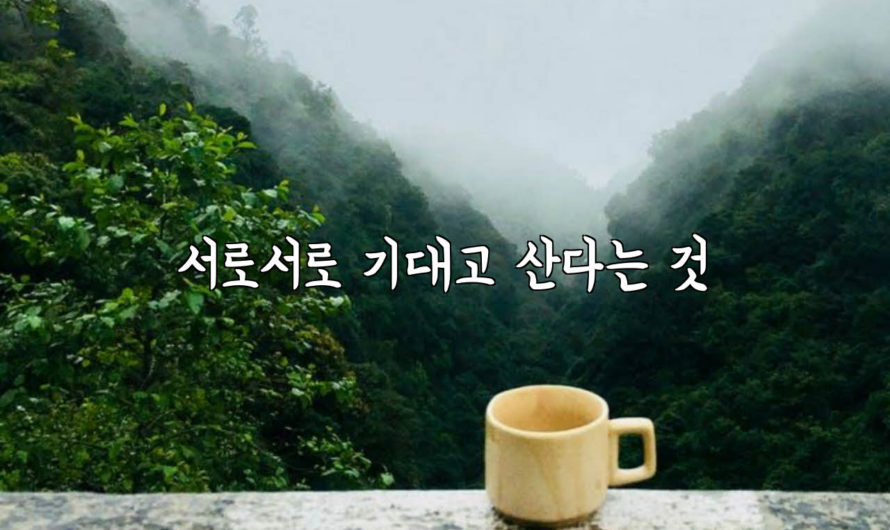 서로서로 기대고 산다는 것