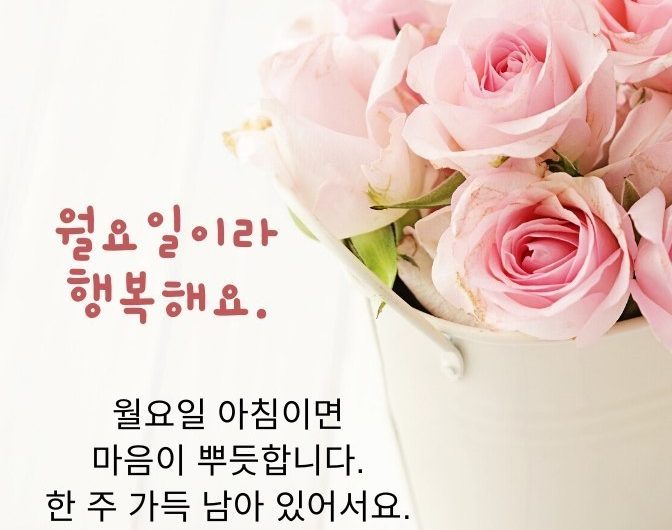 월요일이라 행복해요~