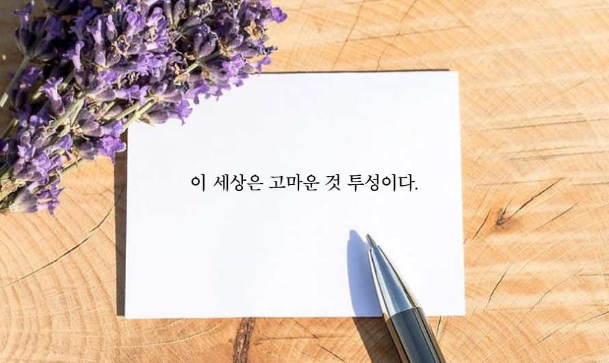 이 세상은 고마운 것 투성이다