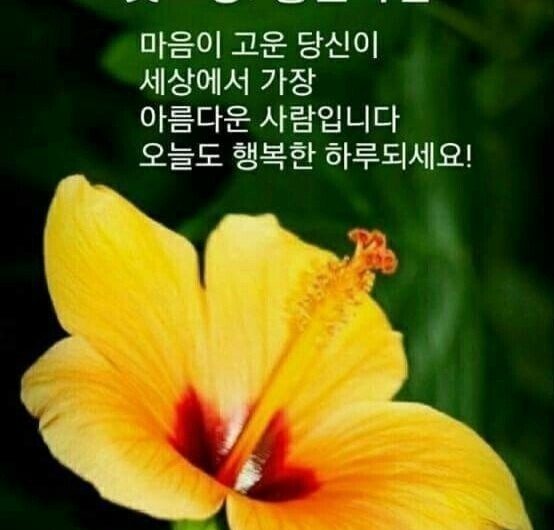 굿모닝~ 좋은 아침