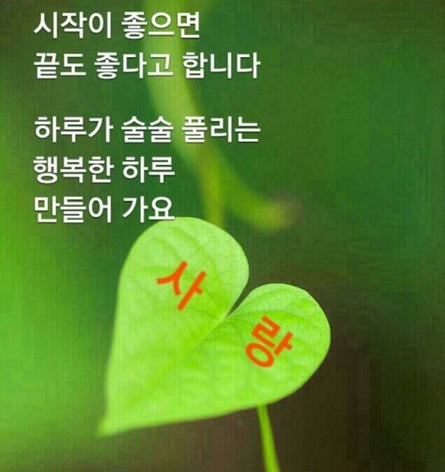 모든 일이 다 풀리는 하루 되세요