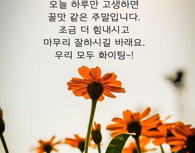 주말 앞둔 금요일~