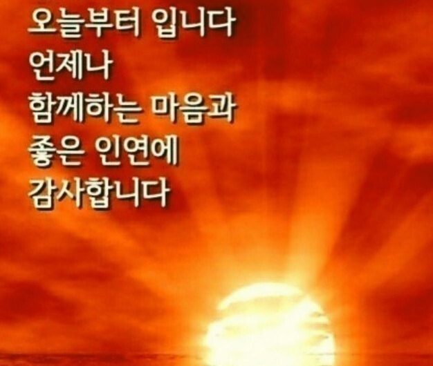 항상 감사합니다.