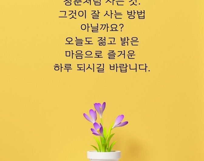 청춘처럼 사는 것.