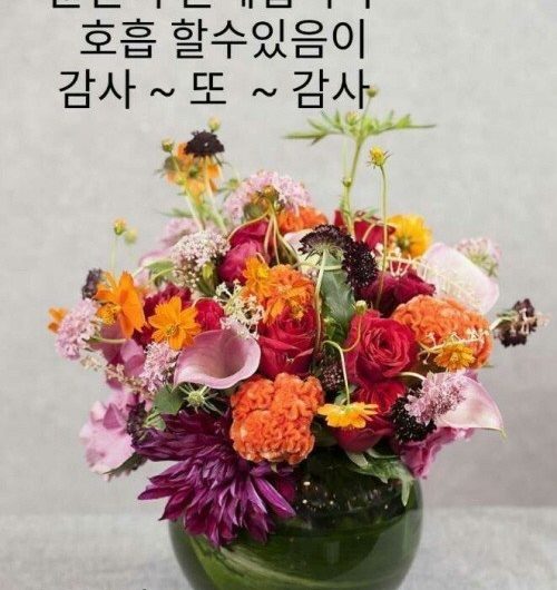 은혜로운 하루 되세요.