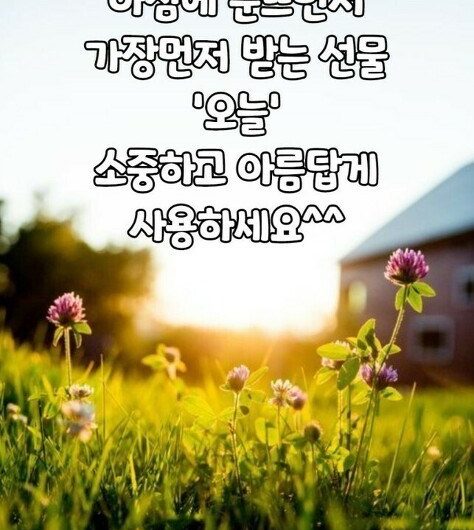 소중한 오늘