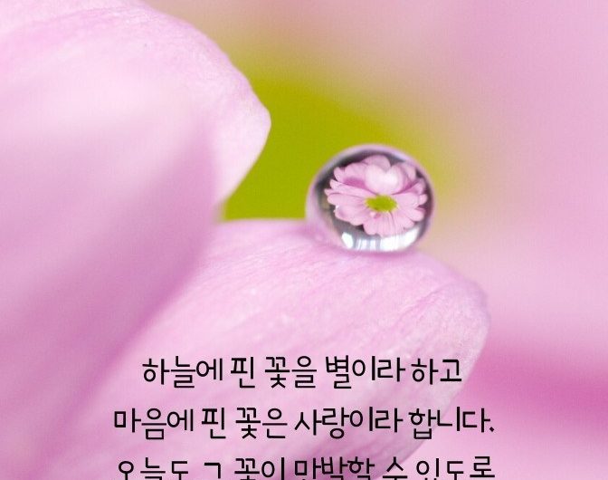 사랑스러운 하루 보내세요