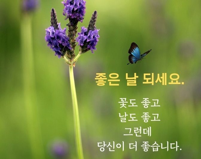 좋은 날 되세요.