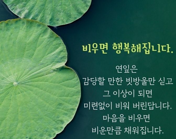 비우면 행복해집니다