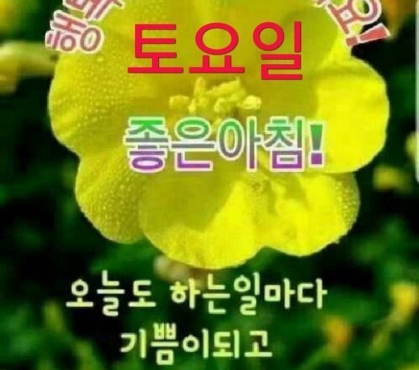 행복한 토요일 아침