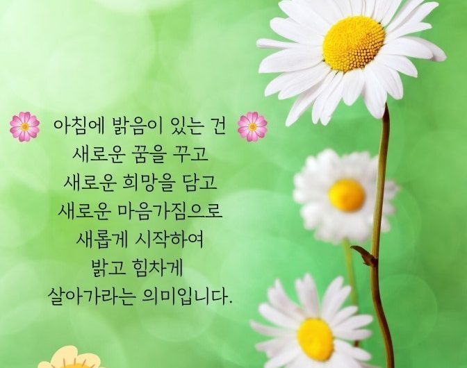 새롭게 시작하는 아침