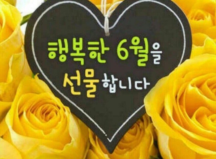 행복한 6월을 선물합니다