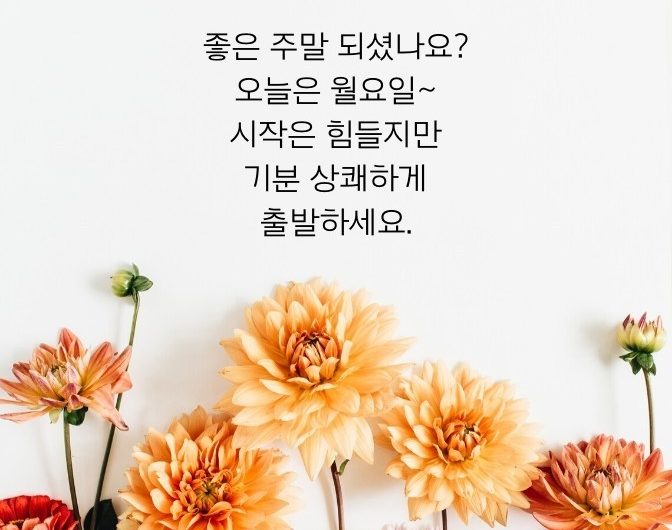 아싸~ 월요일