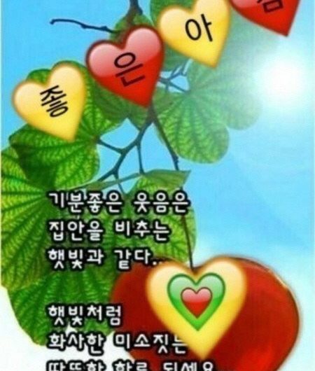 화사한 미소 짓는 하루 보내세요