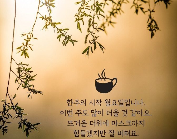 한주의 시작 월요일입니다.