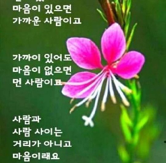 사람과 사람 사이