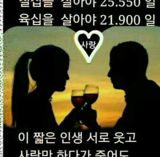 사랑하고 웃으며 살아요