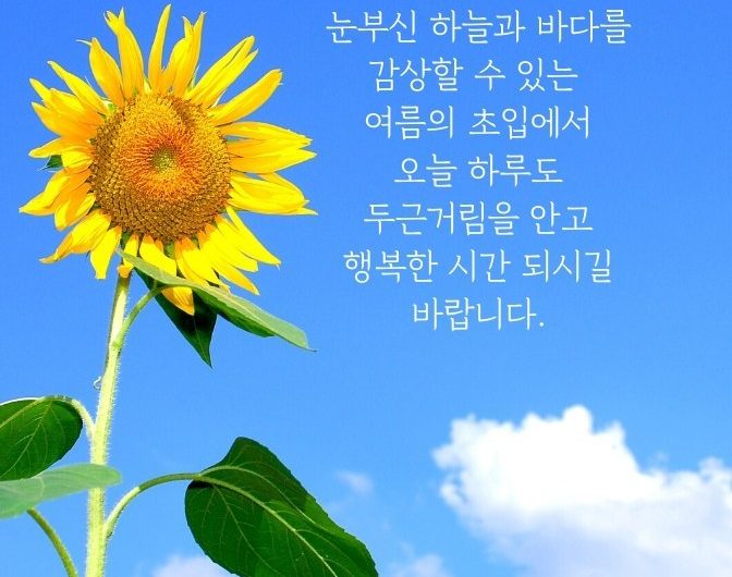 푸른 하늘의 초여름 6월입니다.