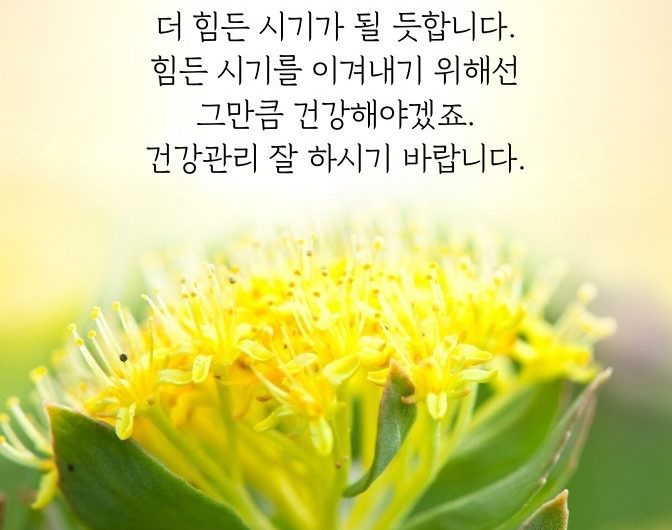 건강관리 잘 하시기 바랍니다