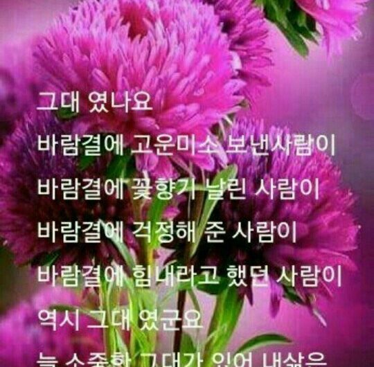 늘 소중한 그대