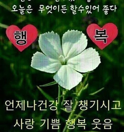 좋은 일만 가득하세요~