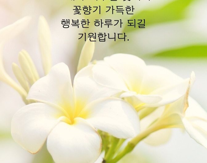 기분좋은 오늘.