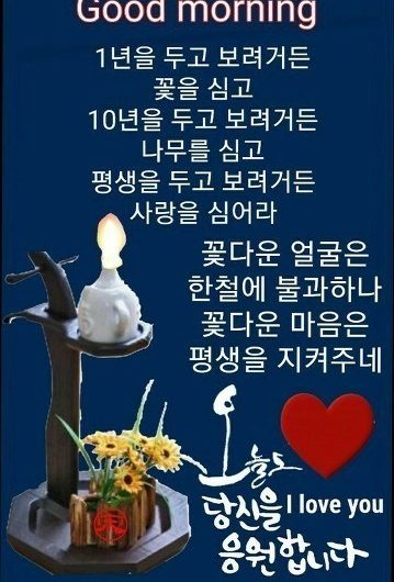 사랑을 심어라.