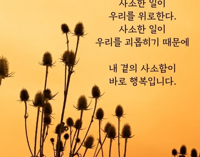 내 곁의 사소함