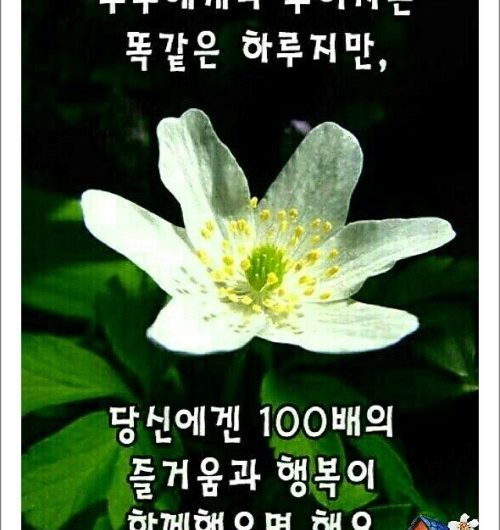 즐거움과 행복이 가득했으면 해요