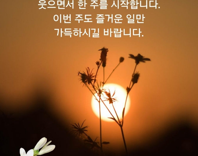 웃으면서 한 주를 시작해요