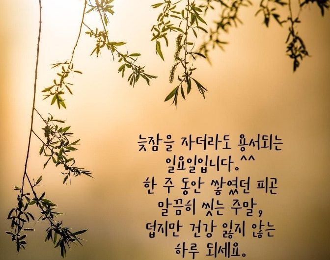 행복한 일요일 보내시길