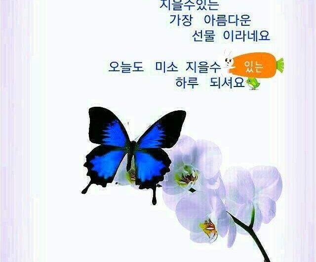 오늘도 미소 지을 수 있는 하루 되세요.