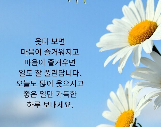 오늘도 많이 웃는 하루 되세요