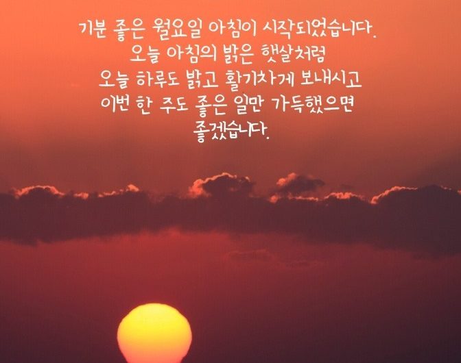 기분 좋은 월요일 아침이 시작되었습니다