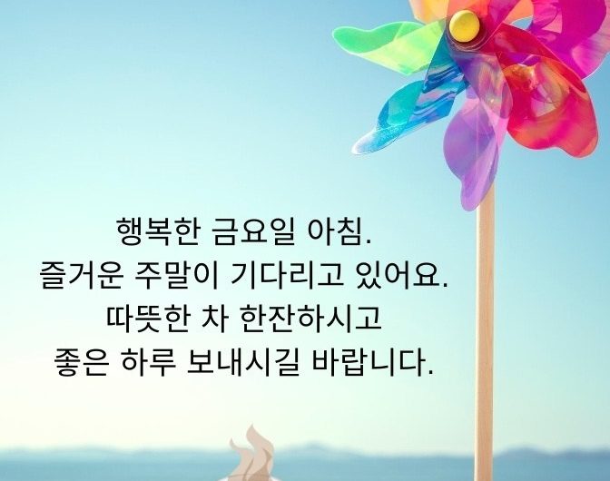 행복한 금요일 아침