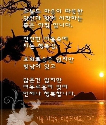 좋은 아침입니다