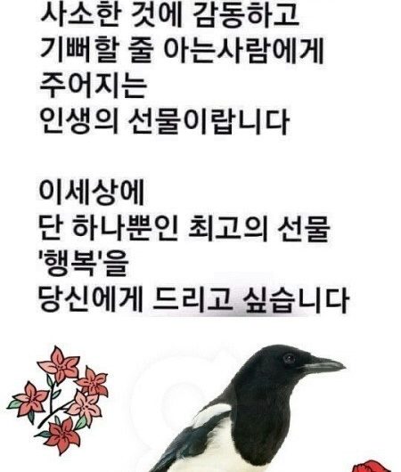 행복을 당신에게 드립니다