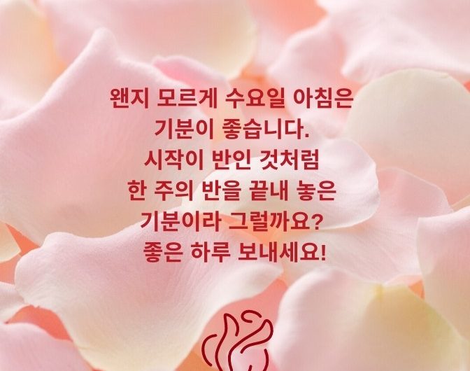 기분좋은 수요일 아침