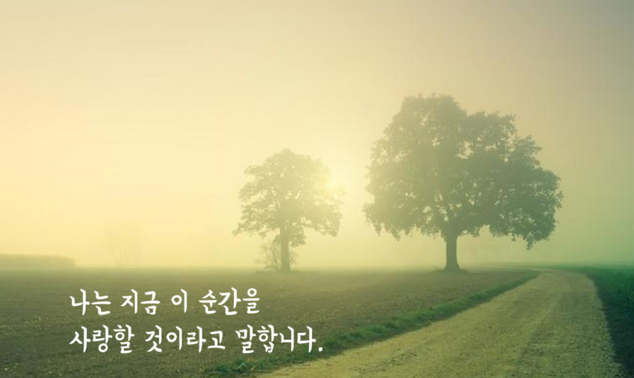 나는 지금 이 순간을 사랑할 것이라고 말합니다