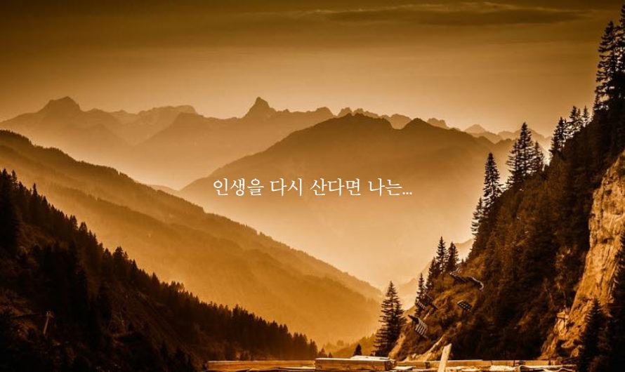 인생을 다시 산다면 나는…