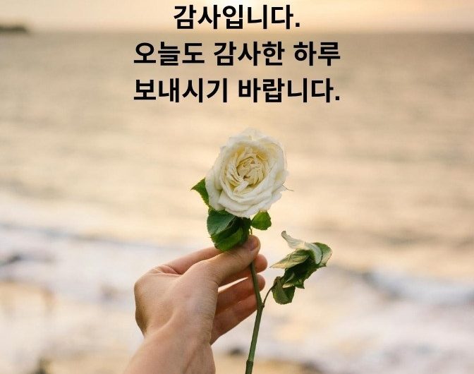 오늘도 감사한 하루