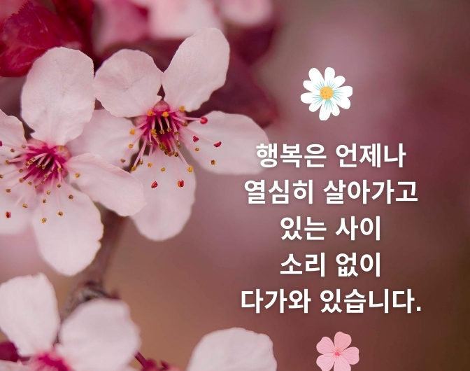 행복은 언제나